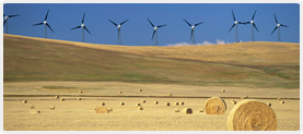 wind